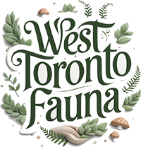 West Toronto Fauna - Terrarium Supply Co.